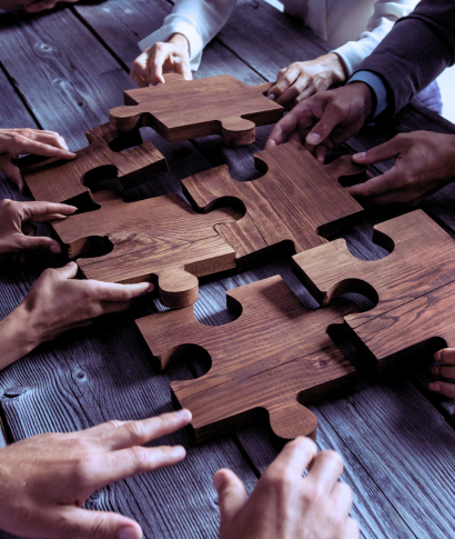 Customisation and Integration