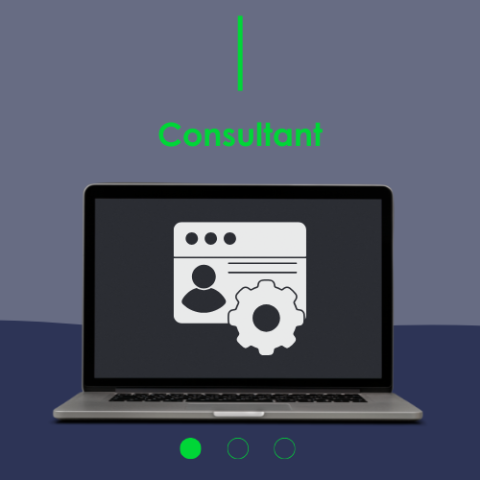 Consultant