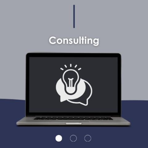 Consulting